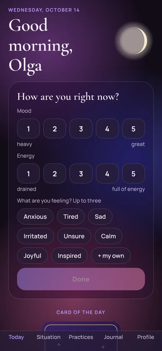 Check-in screen: mood, energy and feelings